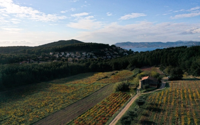 Vignoble provençal près de Saint-Cyr – trajet VTC ou taxi depuis Marseille